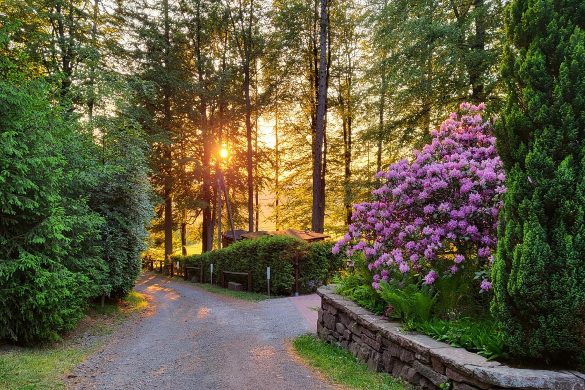 Апартаменты Thueringer Waldbaude *