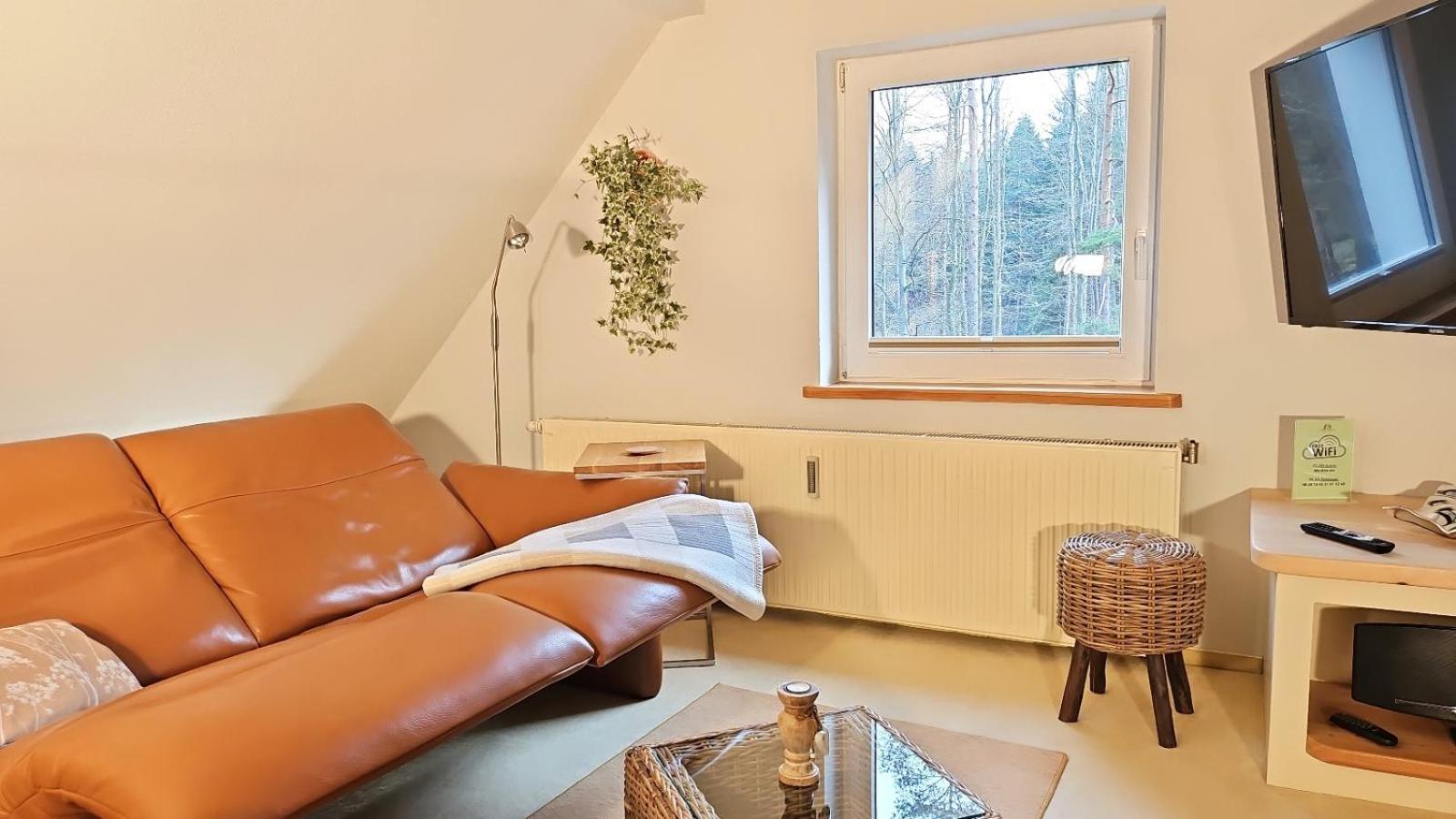 Apartment Thüringer Waldbaude *