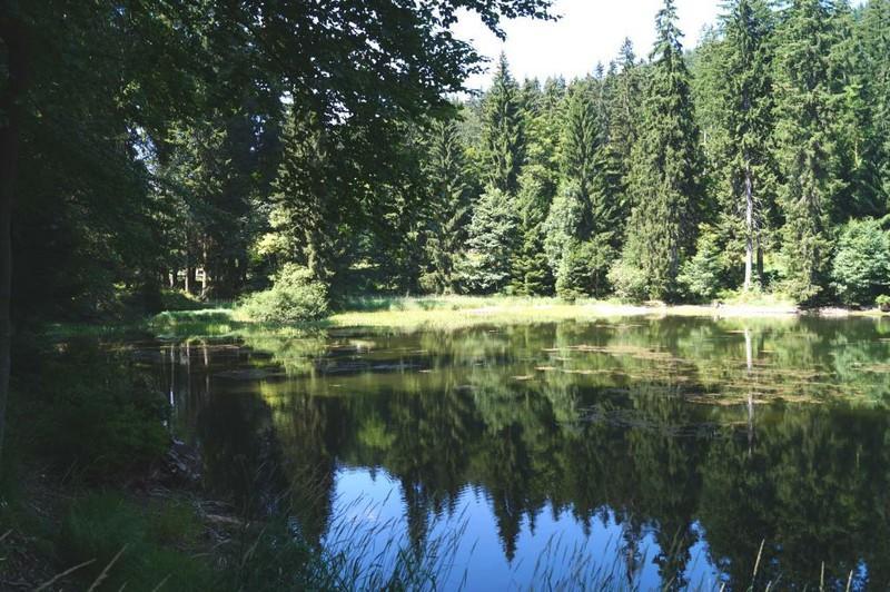 Thüringer Waldbaude *