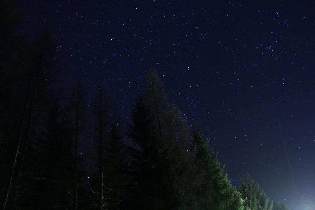Апартаменты Thueringer Waldbaude