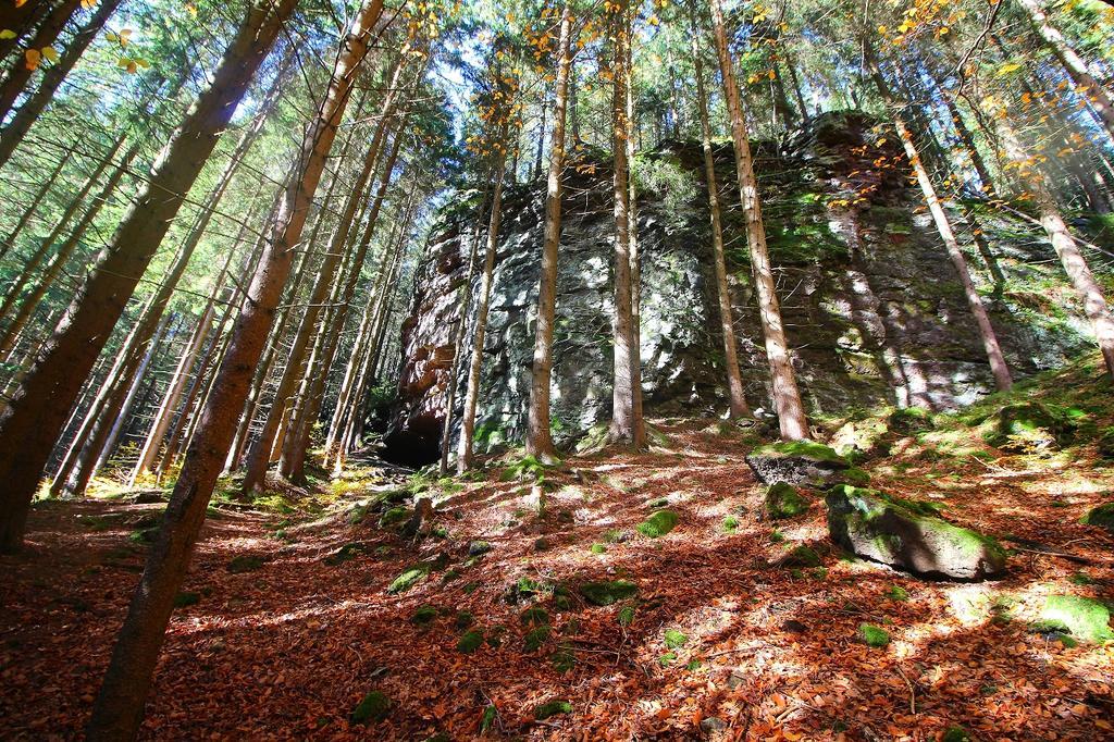 Апартаменты Thueringer Waldbaude