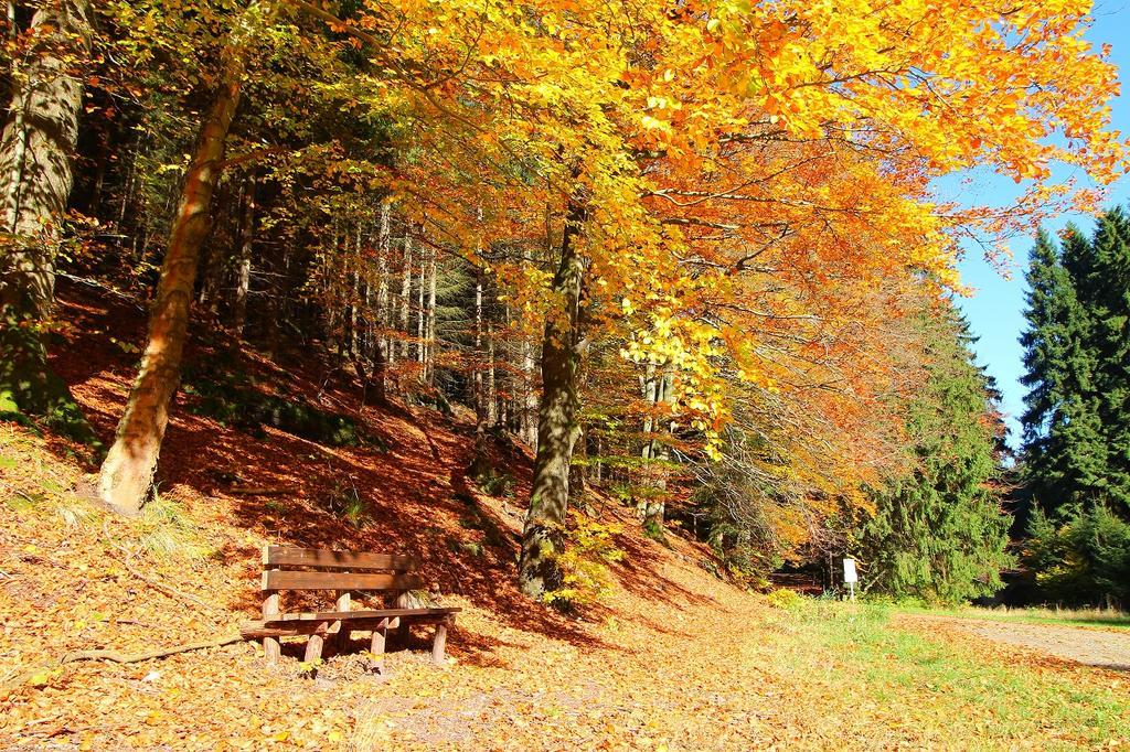 Thüringer Waldbaude Tambach-Dietharz