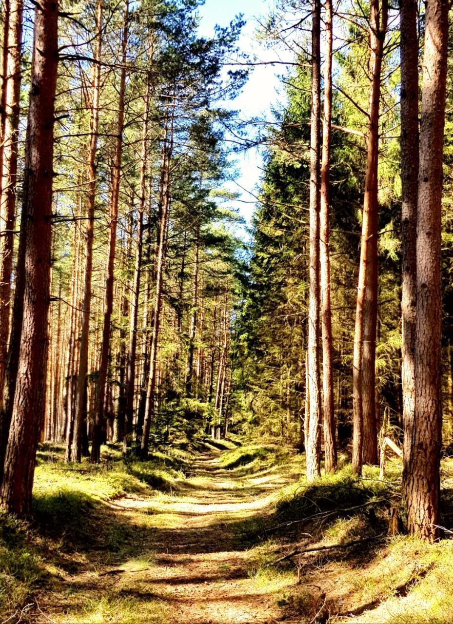 Апартаменты Thueringer Waldbaude Тамбах-Дитарц