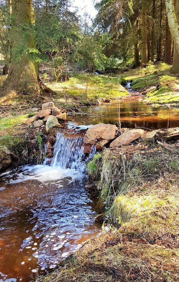 Thüringer Waldbaude Tambach-Dietharz